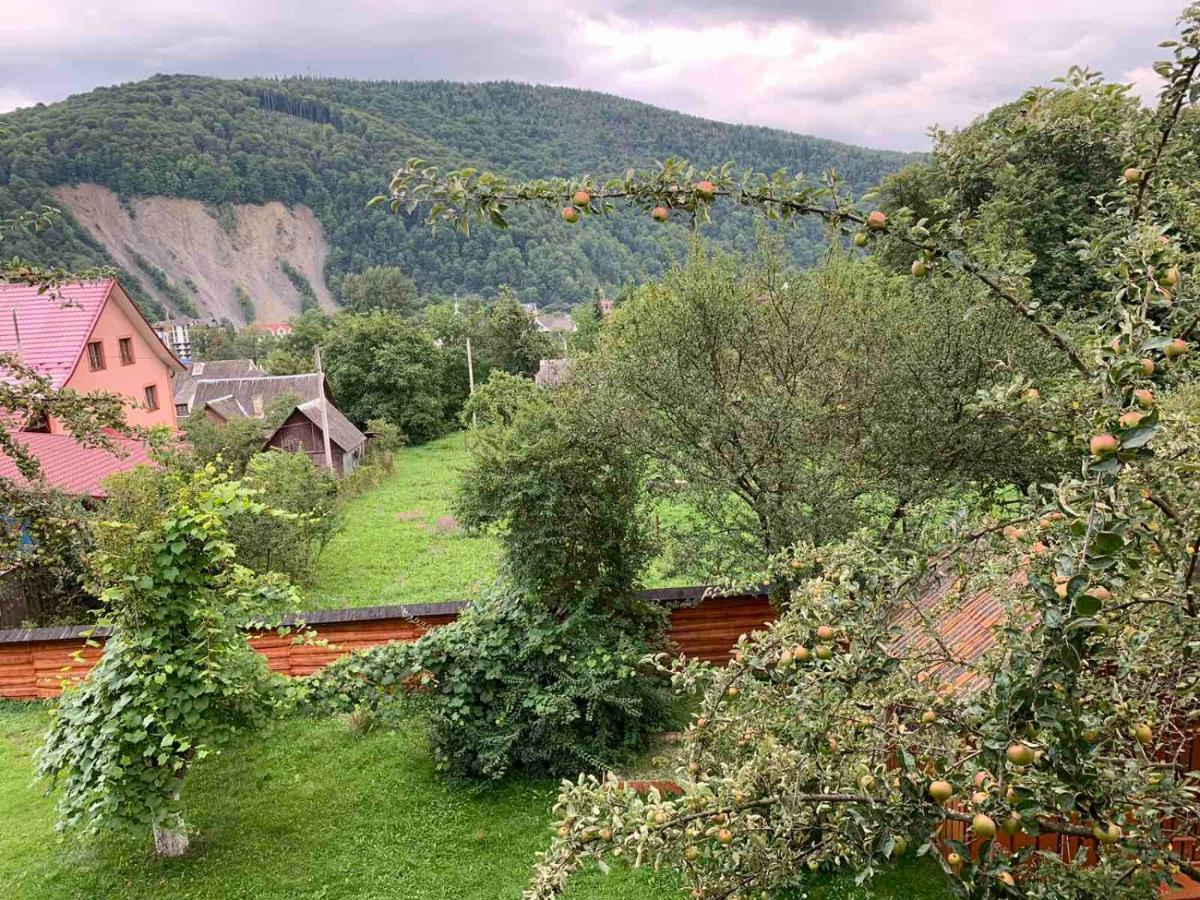 Приватна Садиба Яблуневий Сад 1 Hotel Jaremtsje Buitenkant foto